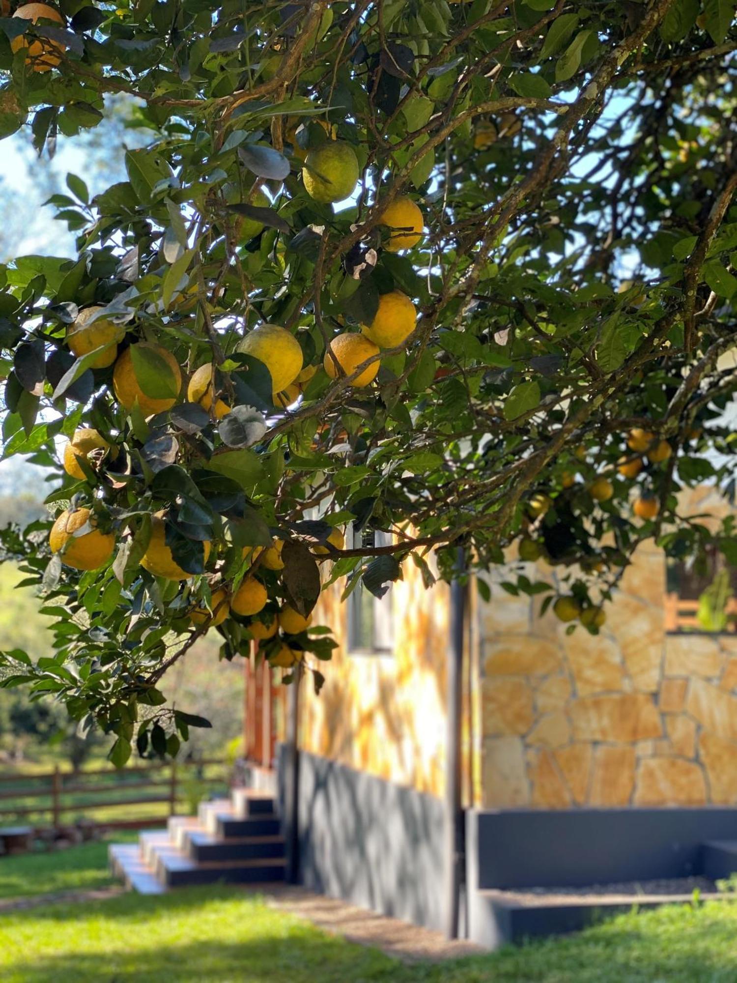 Casa De Campo Fichtelberger Hohenau Esterno foto